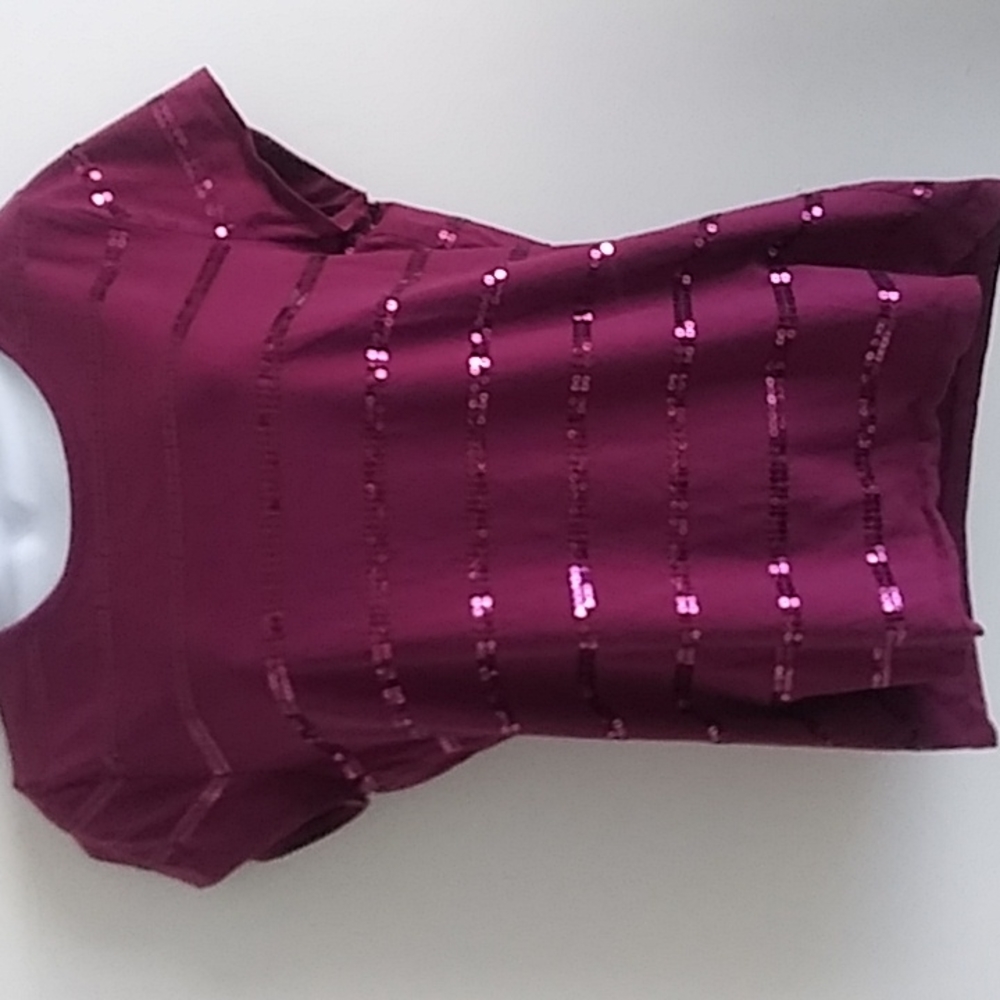 Woman's Top Ann Taylor Large Purple sparkles
